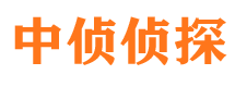 兴海市侦探公司